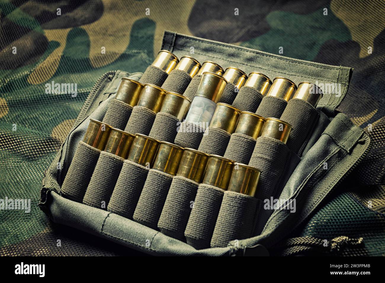 Jeu de cartouches pour fusil de chasse. Le concept de chasse, munitions militaires, magasins vendant des armes. Supports mixtes Banque D'Images