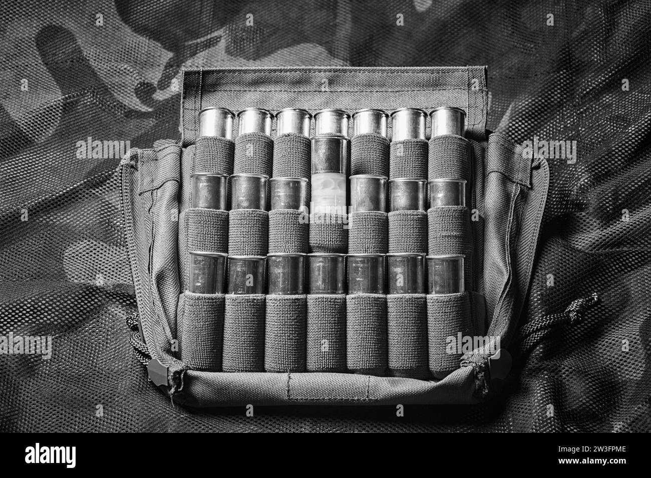 Jeu de cartouches pour fusil de chasse. Le concept de chasse, munitions militaires, magasins vendant des armes. Supports mixtes Banque D'Images