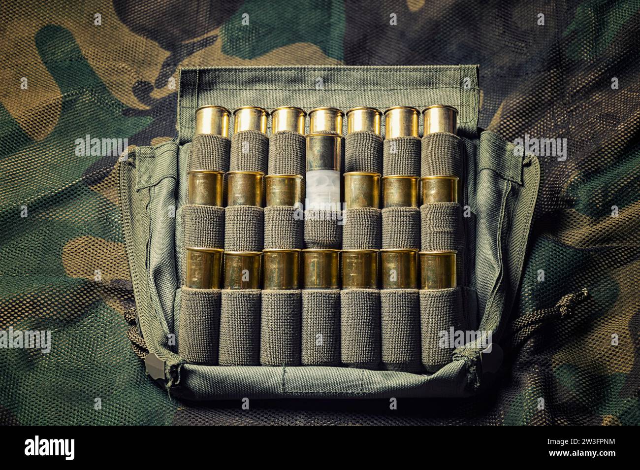Jeu de cartouches pour fusil de chasse. Le concept de chasse, munitions militaires, magasins vendant des armes. Supports mixtes Banque D'Images