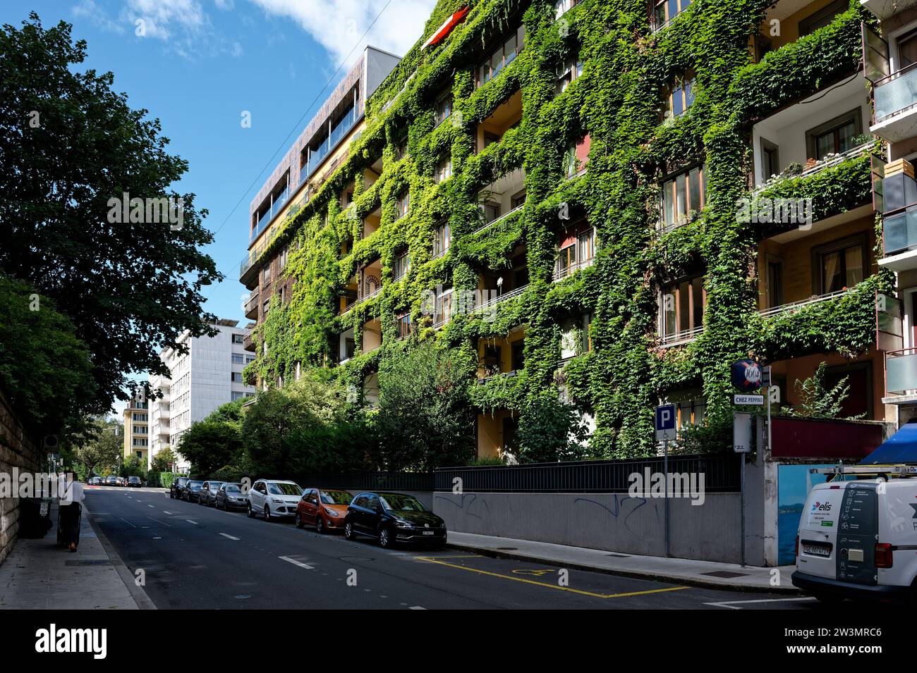 Façade d'un grand bâtiment résidentiel orné d'un feuillage luxuriant, baigné dans la lumière chaude de l'après-midi, mettant en valeur des verts vibrants tandis que les voitures serpentent. Banque D'Images