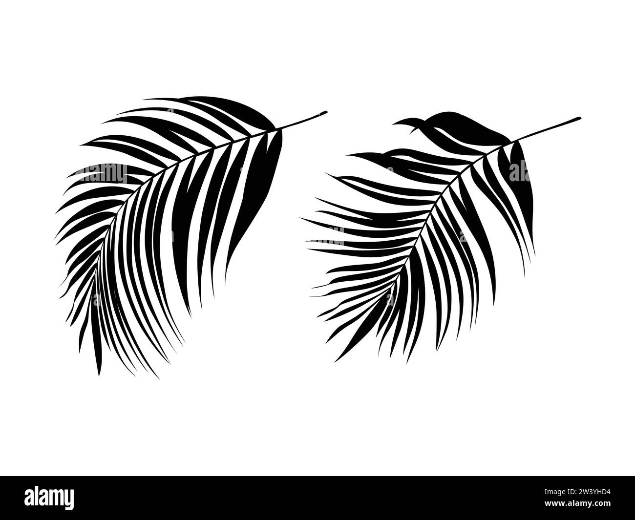 Silhouettes de plantes comme images vectorielles Illustration de Vecteur