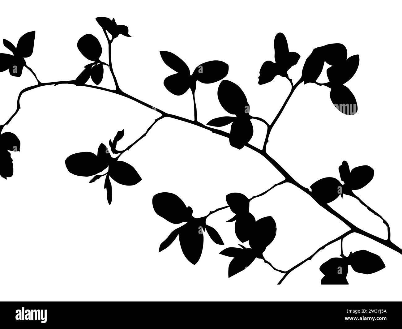 Silhouettes de plantes comme images vectorielles Illustration de Vecteur