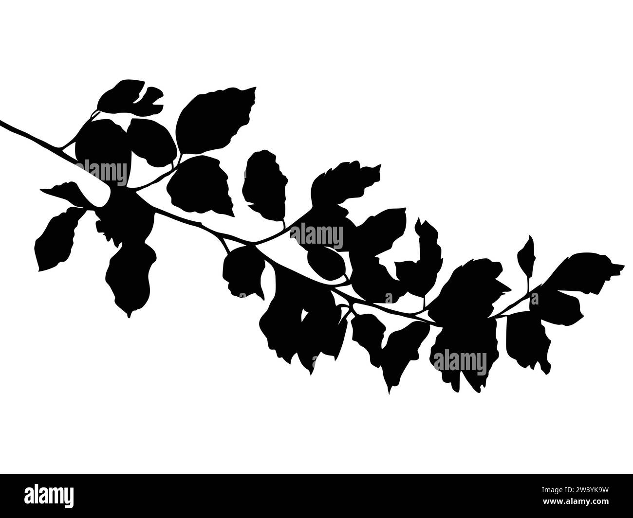 Silhouettes de plantes comme images vectorielles Illustration de Vecteur