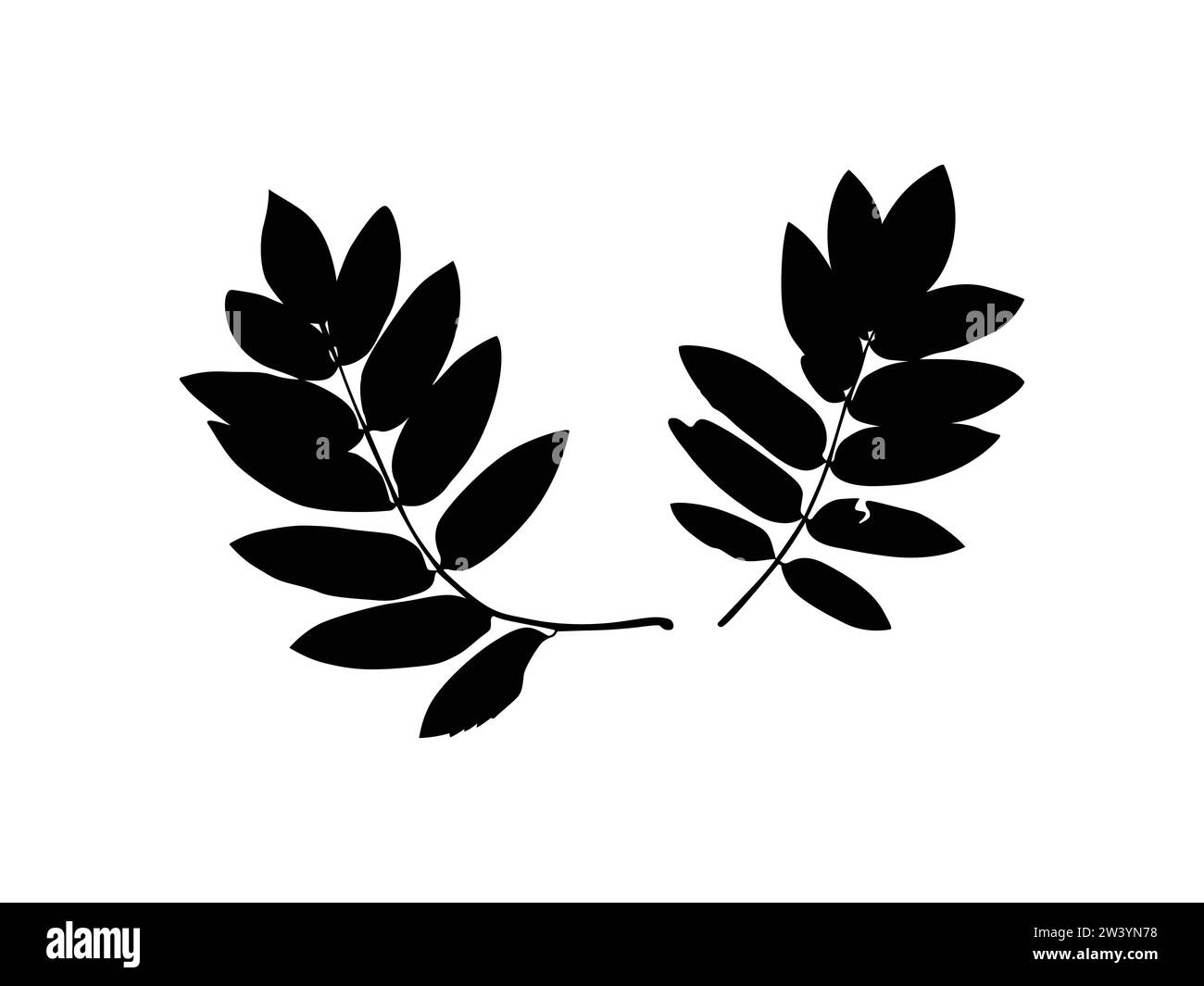Silhouettes de plantes comme images vectorielles Illustration de Vecteur