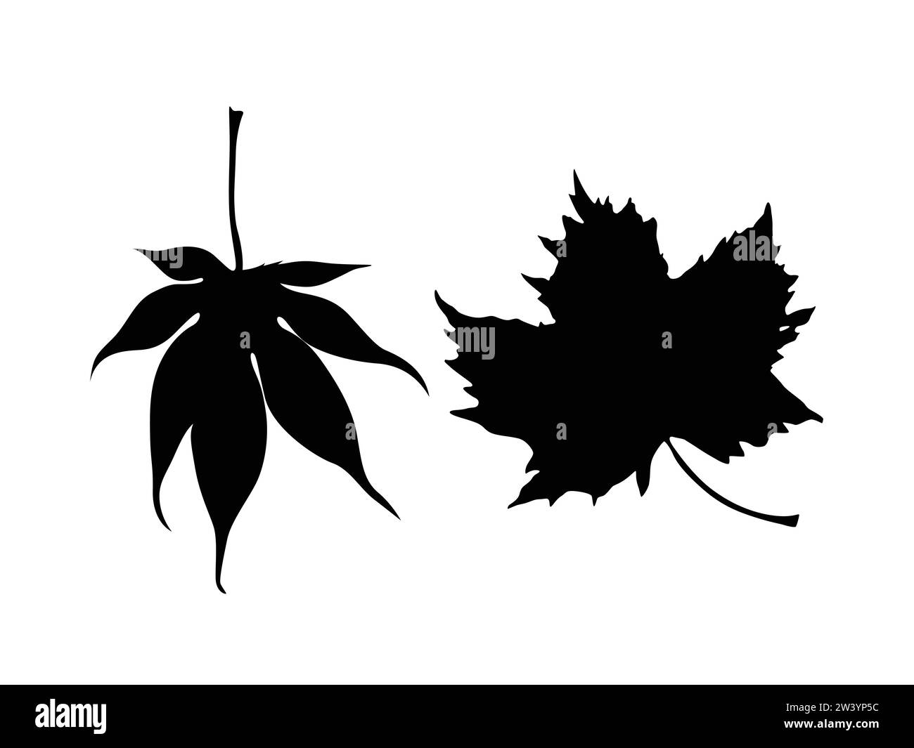 Silhouettes de plantes comme images vectorielles Illustration de Vecteur