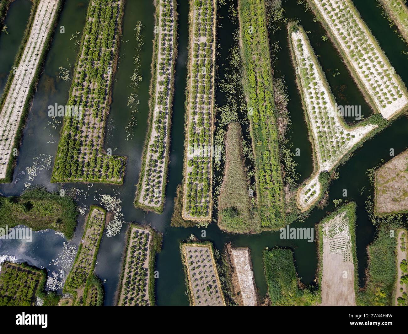 La vallée de la Neretva est le delta de la Neretva, une rivière qui traverse la Bosnie-Herzégovine et la Croatie et se jette dans la mer Adriatique Banque D'Images