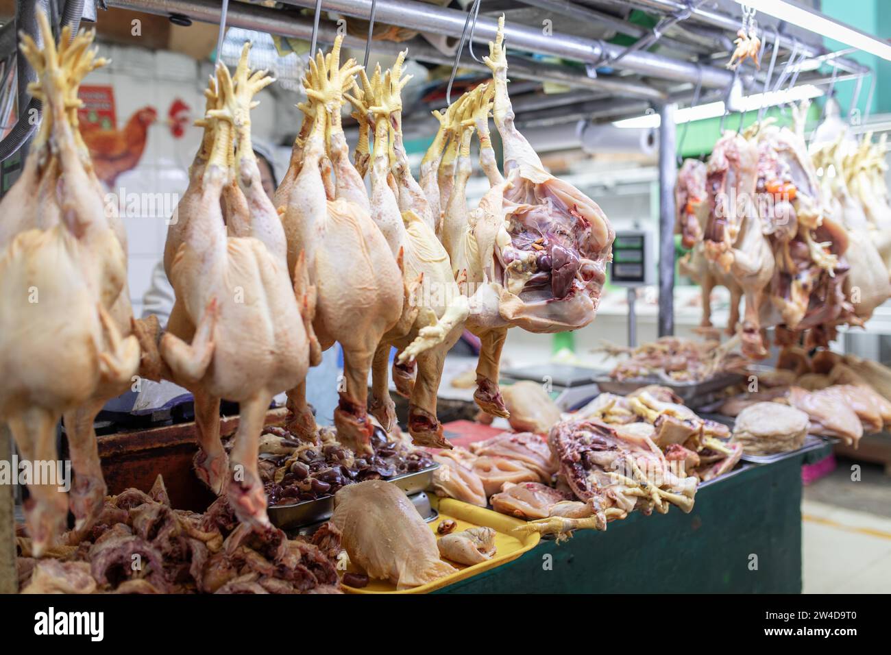 Poulets, étal de marché, Mercado Artesanal, Huancayo, Pérou Banque D'Images