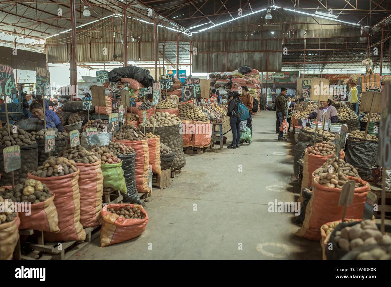 Marché, variété de pommes de terre, mercado Mayorista, Huancayo, Pérou Banque D'Images