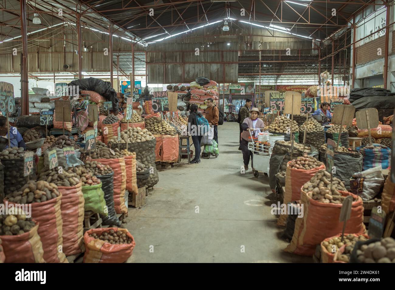 Marché, variété de pommes de terre, mercado Mayorista, Huancayo, Pérou Banque D'Images