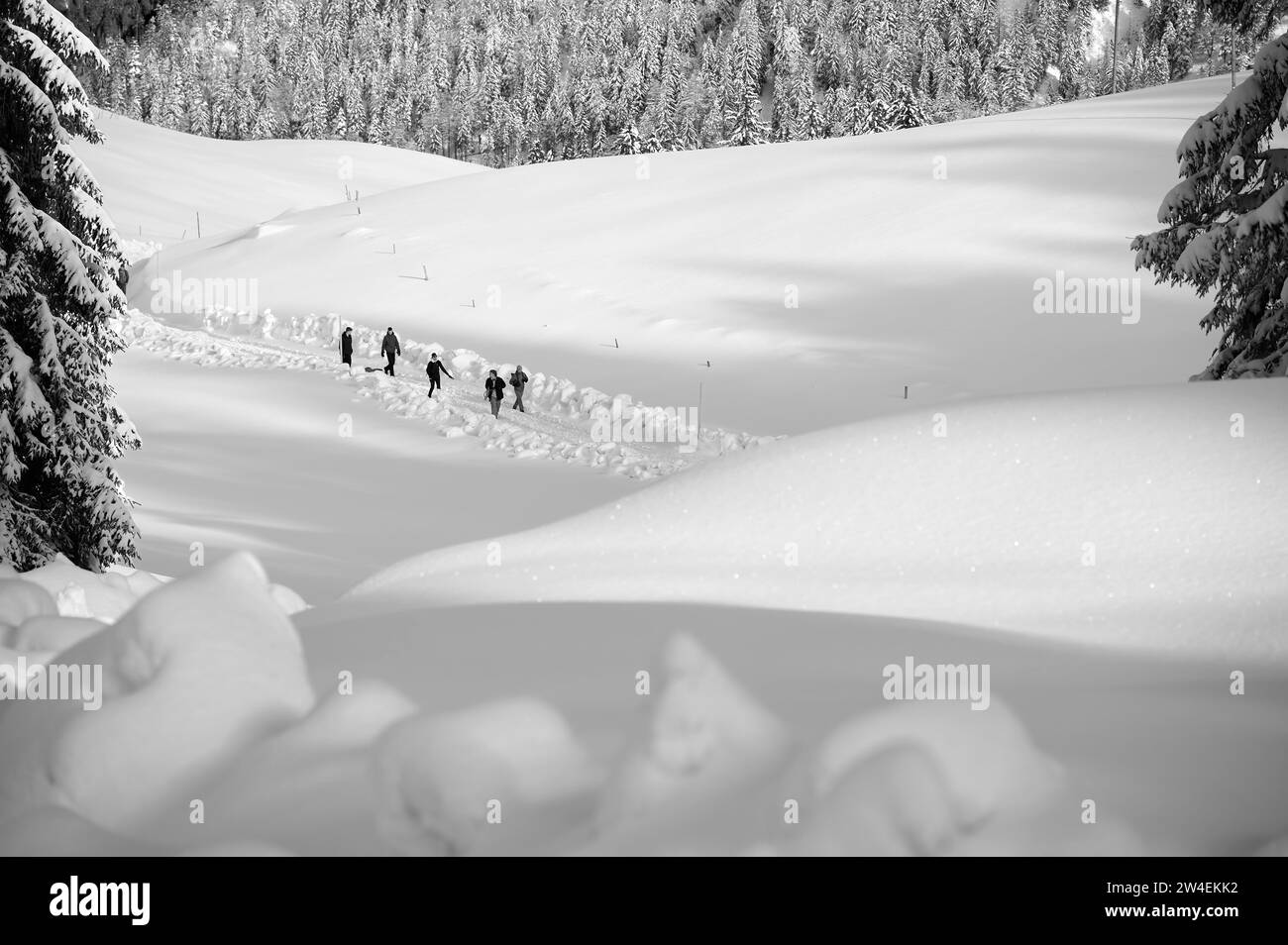 Cinq randonneurs sur une randonnée hivernale à Bodenschneidhaus, neige, Neuhaus am Schliersee, montagnes de Mangfall, Préalpes bavaroises, haute-Bavière, Bavière, Allemagne Banque D'Images