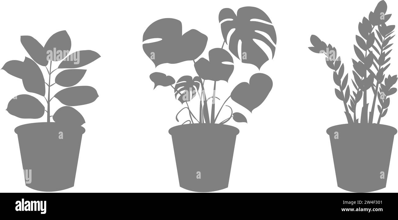 Ensemble de silhouettes de plantes d'intérieur dans un pot. Zamiokulkas Dollar Tree, Ficus et Monstera plante en pot. Icônes vectorielles de fleurs d'intérieur dans un style plat. Illustration de Vecteur