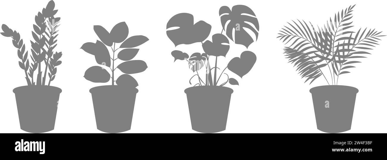 Plantes d'intérieur décoratives dans une silhouette de pot. Zamiokulkas Dollar Tree, Ficus et Monstera, plante de palmier en pot. Icônes de fleurs de maison pour le jardinage. Vecteur Illustration de Vecteur