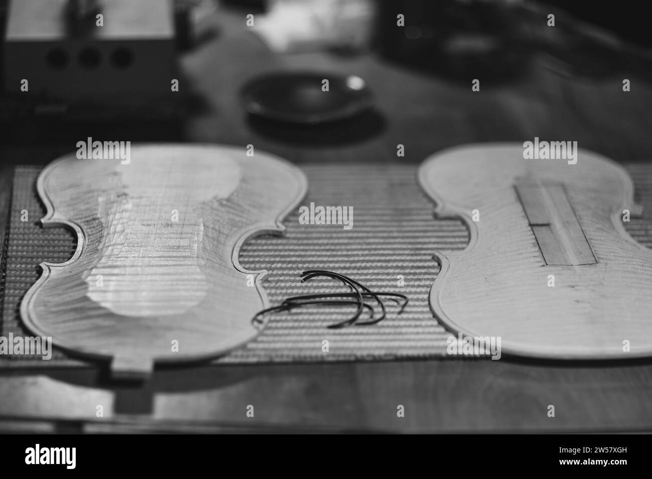 Plaques avant et arrière de nouveau violon classique à la main brut sur un établi dans l'atelier artisan violoniste et filet de ronfling en evony et ivoire ou Banque D'Images