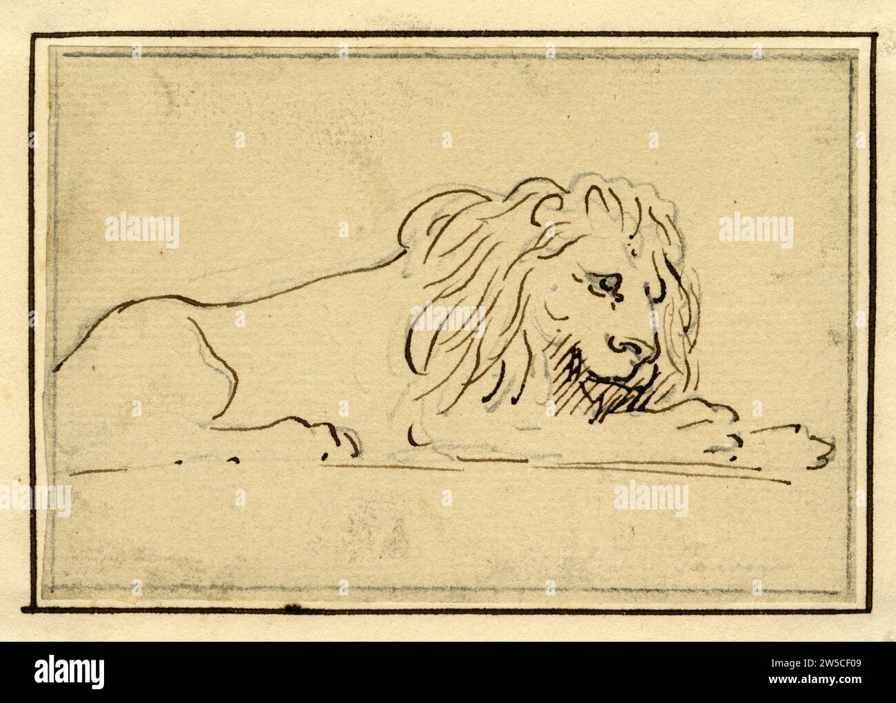 Dessin au crayon d'un lion de la Ménagerie de la Tour de Londres Banque D'Images