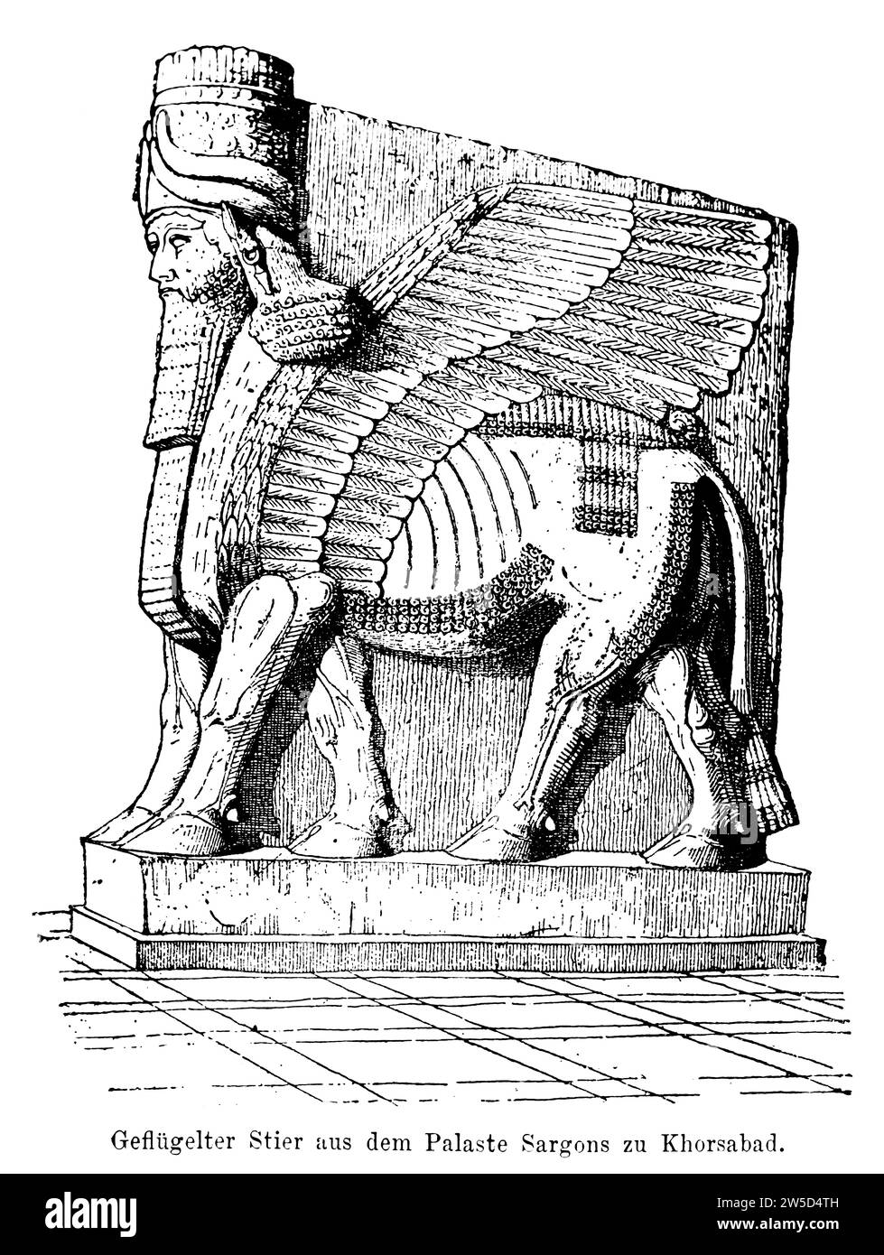 Taureau ailé, Kirub, du palais de Sargon à Khorsabad, Assyrie, tête humaine, mitre, cornes, barbe, boucles, plumes, relief 4m de haut, cinq pattes Banque D'Images