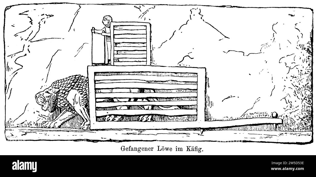 Lion captif en cage, fosse de lion, gardien, sport royal, loisir, chasse au lion, plaisir, antiquité, illustration historique 1886 Banque D'Images