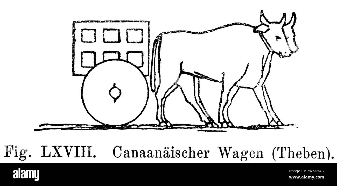Canaaian wagon, Thebes, roue, monoessieu, camion, animaux de trait deux vaches, illustration historique 1886 Banque D'Images
