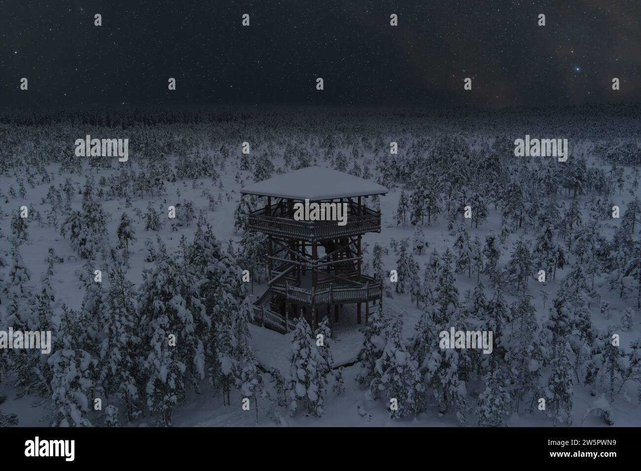 Scène de nuit, nature estonienne en hiver, tour d'observation sur le marais Viru et ciel étoilé. Photo de haute qualité Banque D'Images