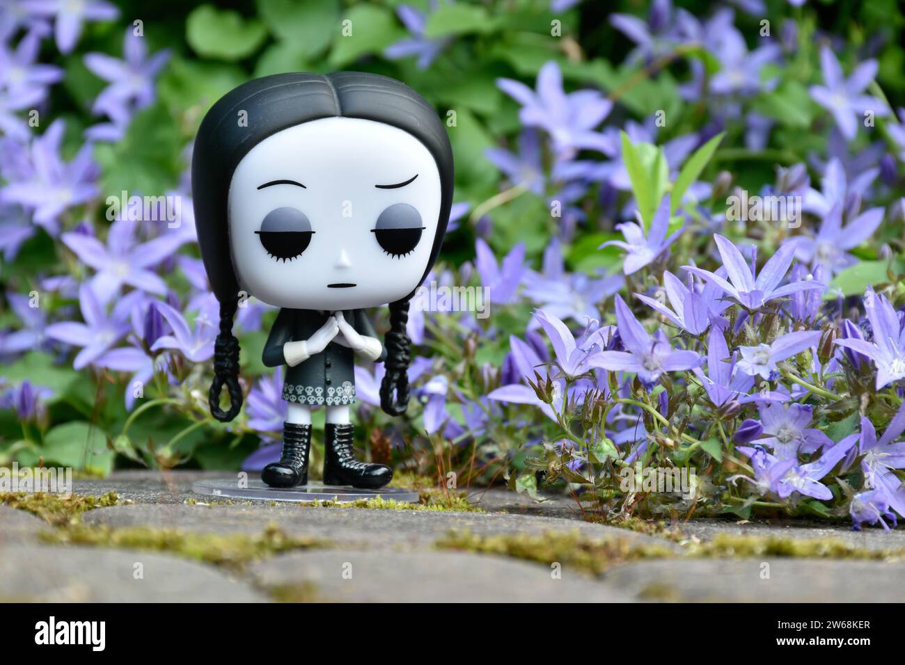 Funko Pop figurine d'action du mercredi Addams du film d'animation la famille Addams. Fleurs bleues, mousse verte, route de pierre, jardin mystérieux. Banque D'Images