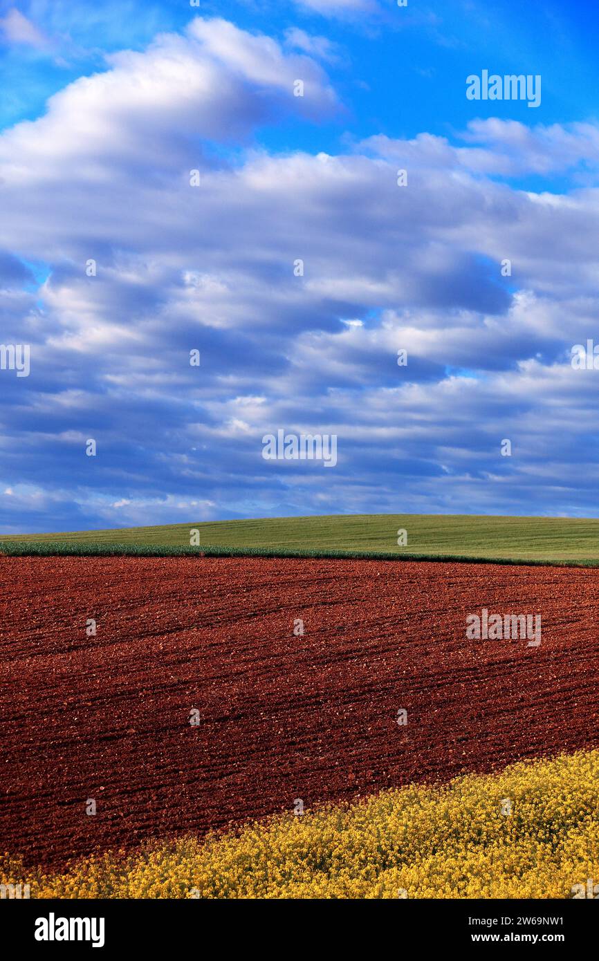 Scène de campagne tranquille avec un riche champ labouré brun au premier plan et un champ de culture vert luxuriant sous un ciel rempli de nuages Banque D'Images