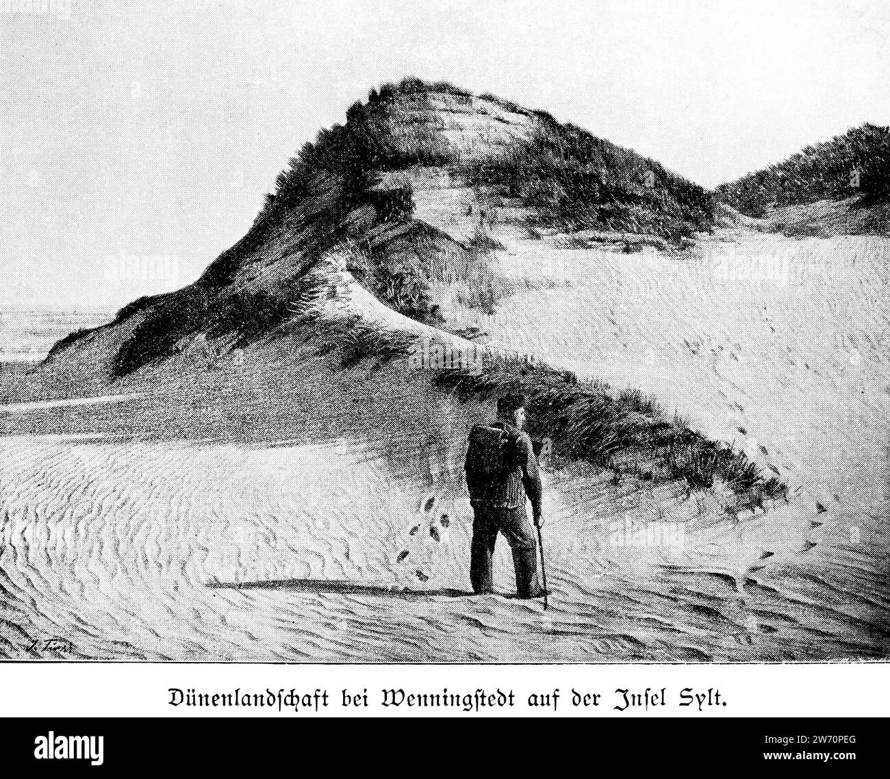 Dunes près de Wenningstedt sur l'île de Sylt, Schleswig-Holstein, Allemagne du Nord, Europe centrale Banque D'Images