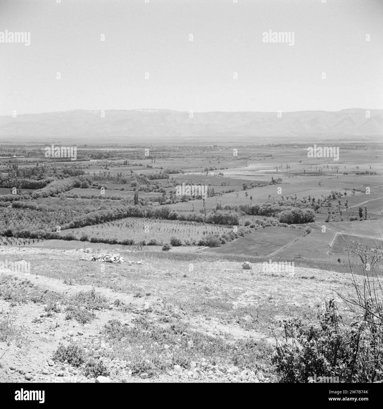 Vue de l'agriculture dans la vallée de la Bekaa au Liban ca. 1950-1955 Banque D'Images