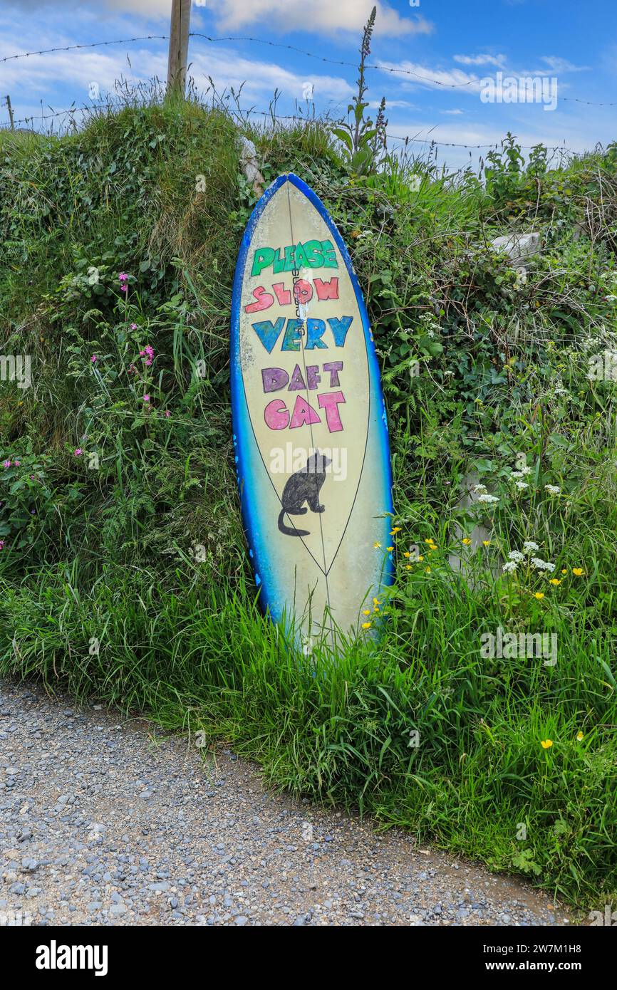Un panneau sous la forme d'une planche de surf disant « Veuillez ralentir, très Daft Cat », Cornouailles, Angleterre, Royaume-Uni Banque D'Images
