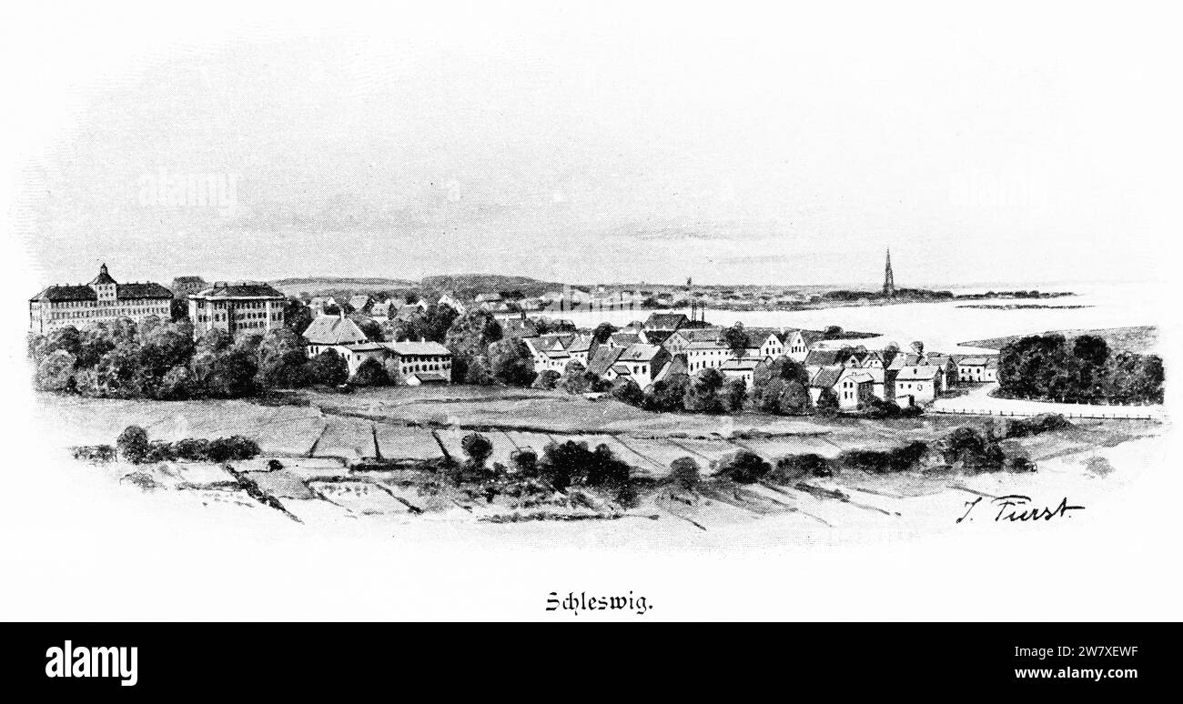 Vue sur la ville de Schleswig avec le fjord de Schlei et le palais Gottorf, ancien siège du duc de Schleswig, Schleswig-Holstein, Allemagne, Europe centrale Banque D'Images