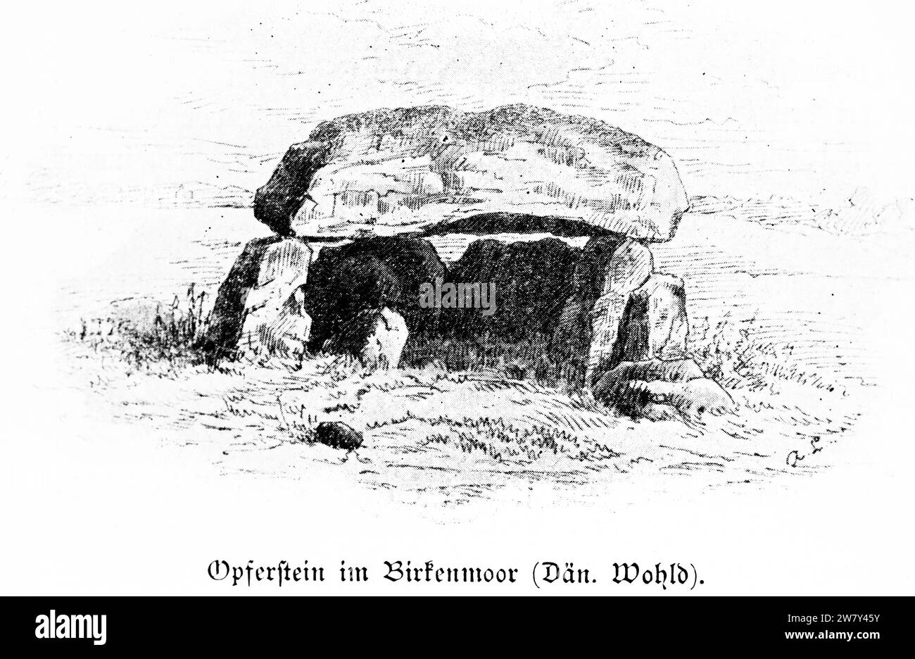 Autel sacrificiel en pierre trouvé à Birkenmoor, paysage de Dänisch Wohld ou bois danois près de Kiel, Schleswig-Holstein, Allemagne du Nord, Europe centrale Banque D'Images
