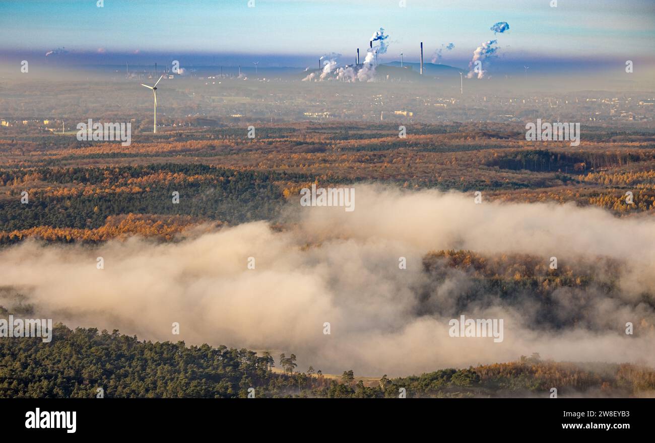Vue aérienne, vagues de brouillard au-dessus de la forêt d'automne Die Haard, cheminées fumantes et nuages de fumée des tours de refroidissement de la centrale électrique, lointain Banque D'Images