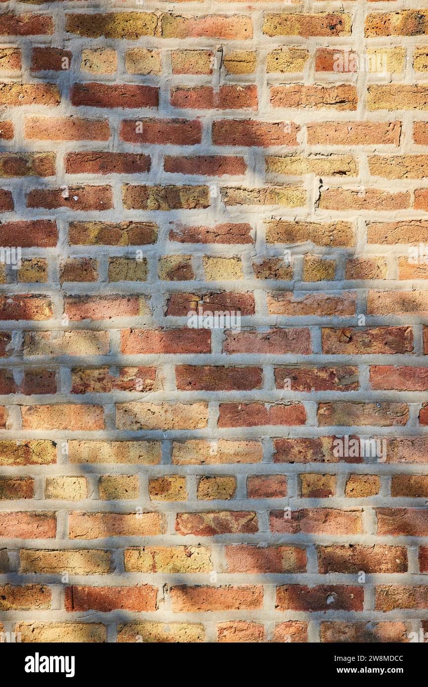 Mur de briques bronzées ensoleillées avec ombre d'arbre sur briques de couleur claire et mortier, actif de fond Banque D'Images