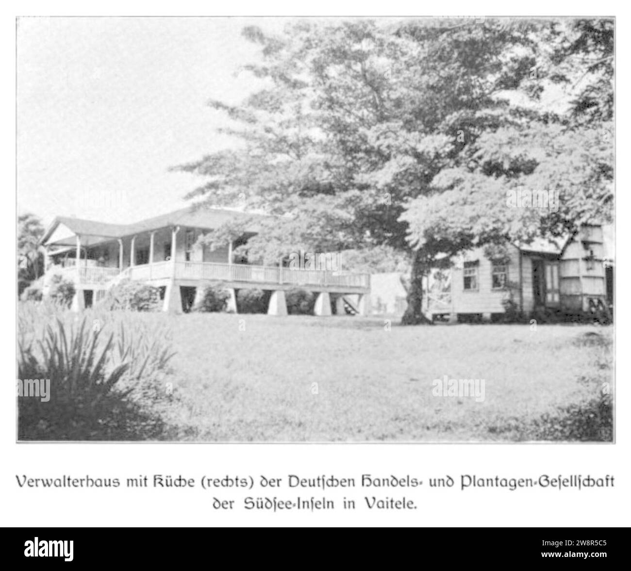 WOHLTMANN(1904) p104 Verwalterhaus mit Küche, Deutsche Handels- und Plantagengesellschaft der Südsee-Inseln. Banque D'Images