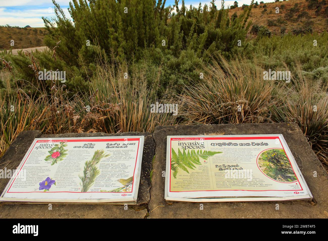 17 FÉVRIER 2020, HORTON PLAINS, SRI LANKA : Table d'information au sentier de randonnée dans le parc national de Horton Plains, hauts plateaux du Sri Lanka. Hor Banque D'Images