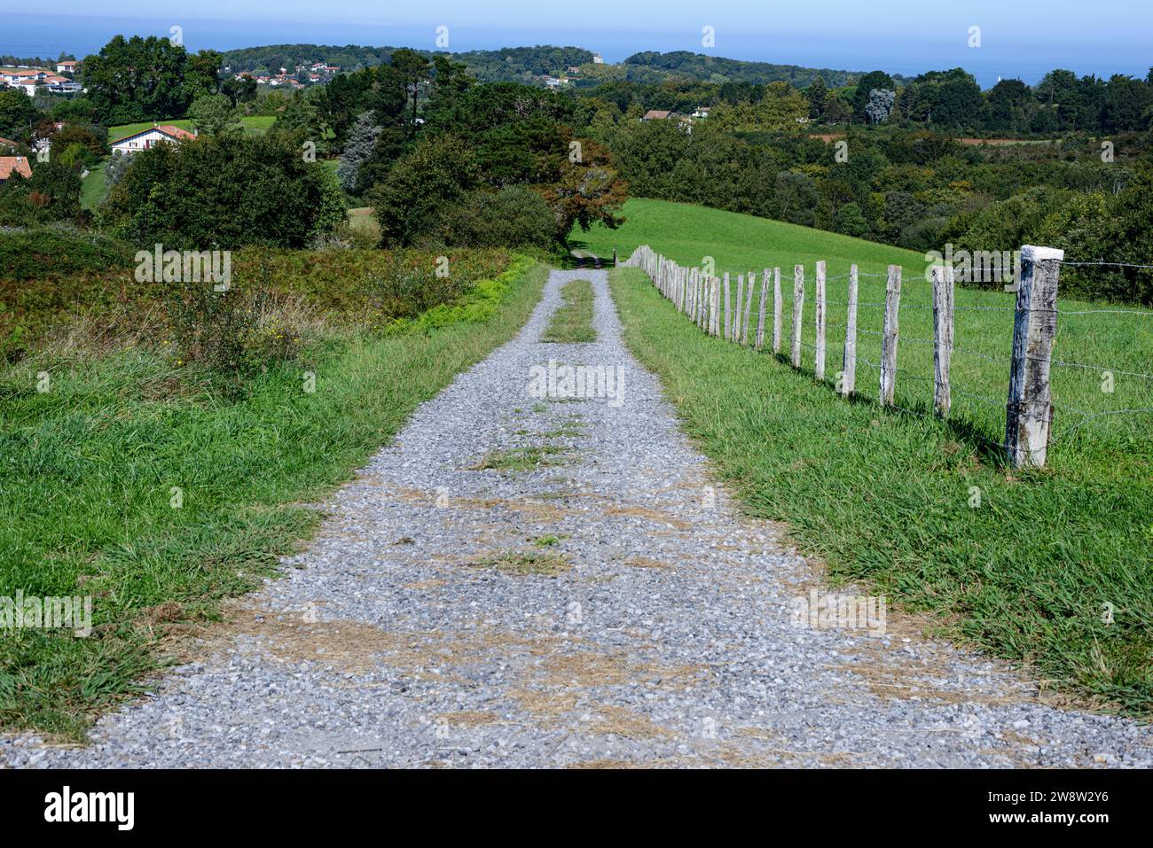 Route rurale, faite de pierres grises, droite et disparaissant vers le bas en haut de la photo, bordée d'herbe verte des champs et d'une clôture de vieux bois Banque D'Images