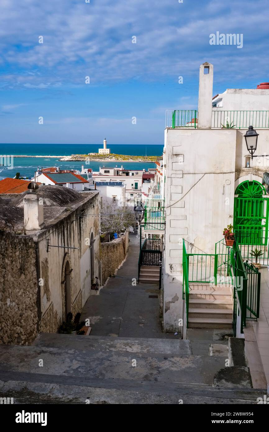 Phare de Vieste, un phare actif sur l'île de Santa Eufemia, vu au-dessus des toits de la petite ville. Banque D'Images