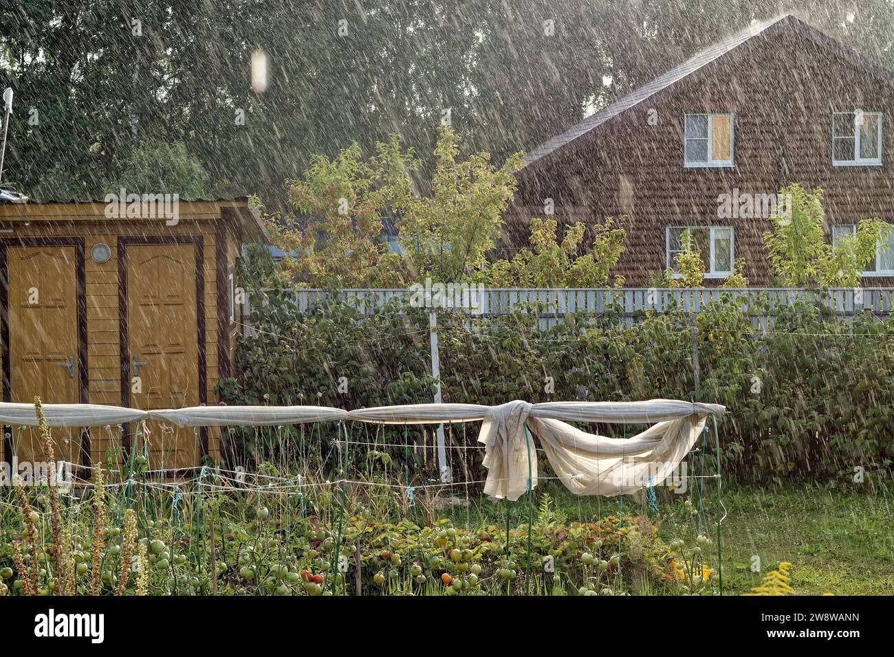 Terrain rural sous la pluie en été, russie Banque D'Images