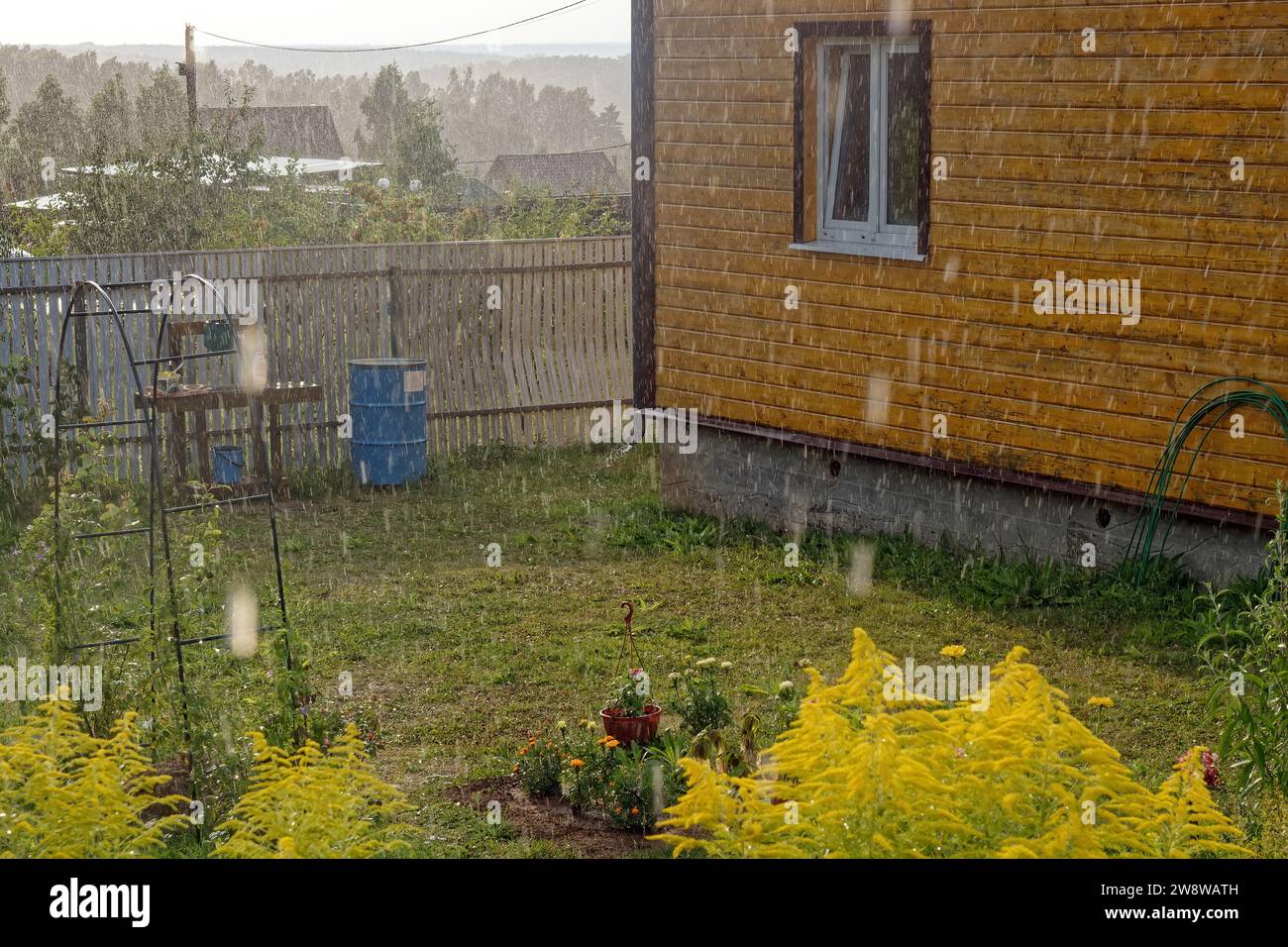 Terrain rural sous la pluie en été, russie Banque D'Images