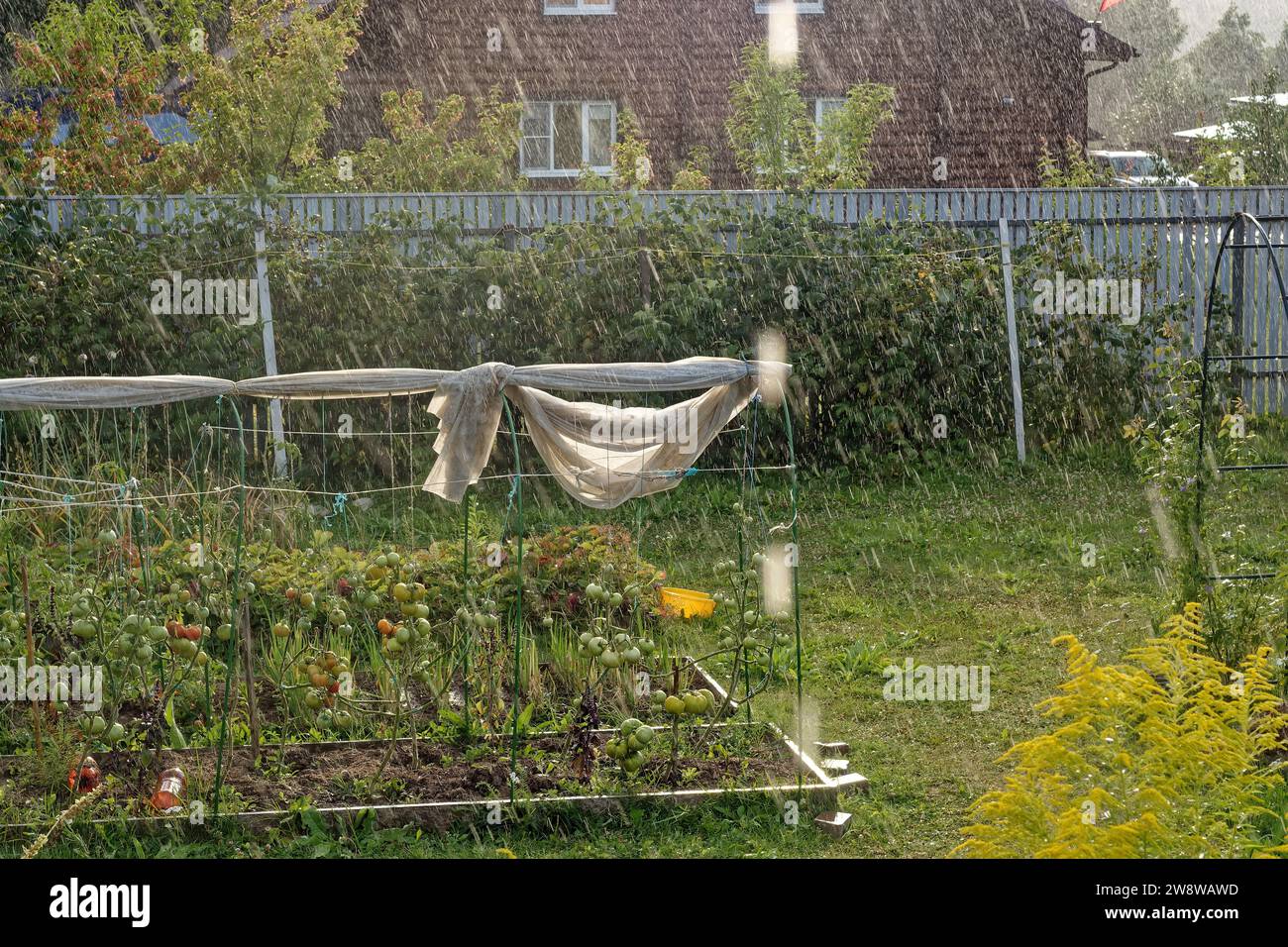 Terrain rural sous la pluie en été, russie Banque D'Images