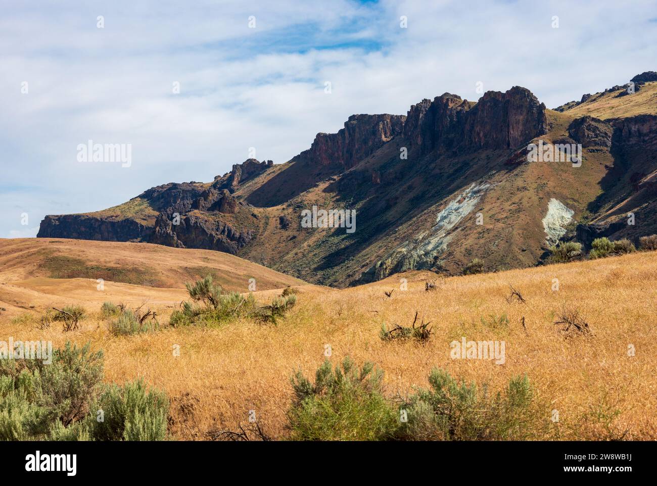 Vue sur la zone naturelle de l'État de Sucor Creek, Oregon Banque D'Images