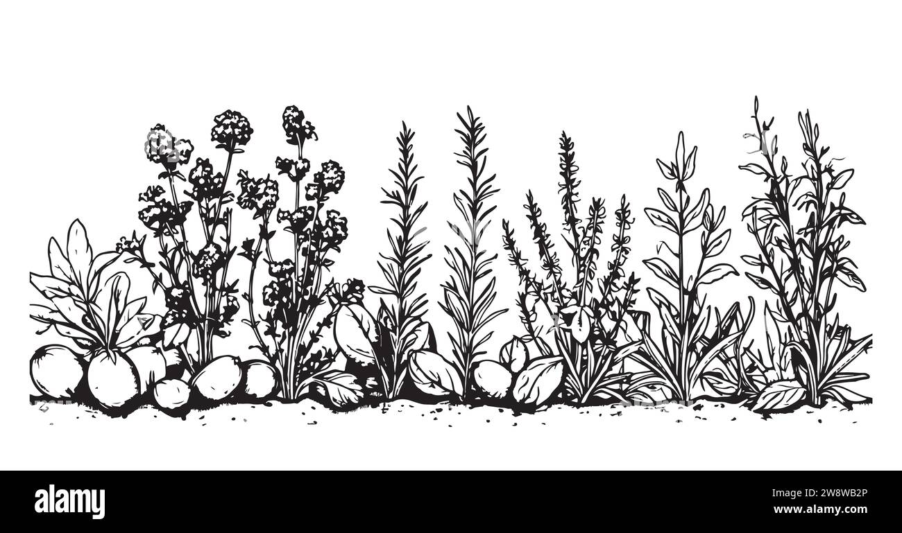 Bordure de champ de fleurs sauvages dessin à la main dans l'illustration de style Doodle Illustration de Vecteur