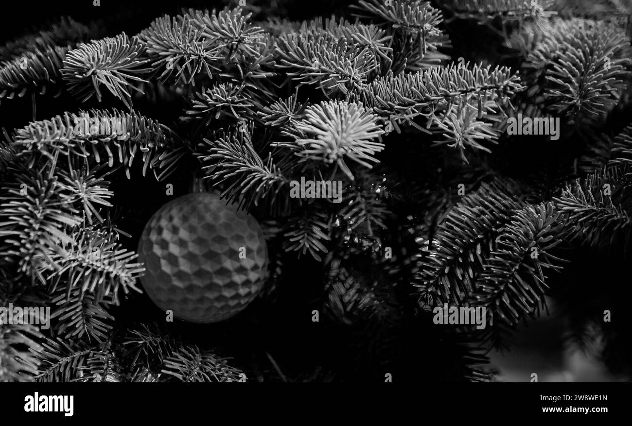 branche d'aiguilles de peluche d'arbre de noël noir et blanc de pin se fermer avec décoration de boule blanche Banque D'Images