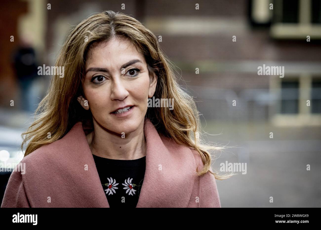 LA HAYE le ministre sortant de la Justice et de la sécurité, Dilan