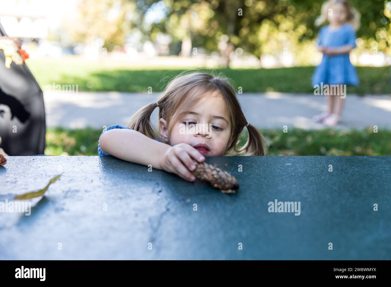 Jeune fille jouant avec pomme de pin sur la table de pique-nique au parc Banque D'Images
