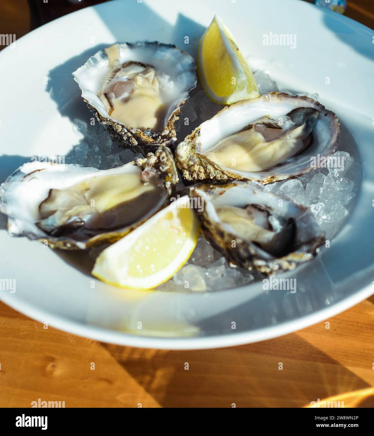 Plat gourmand d'huîtres méditerranéennes Banque D'Images