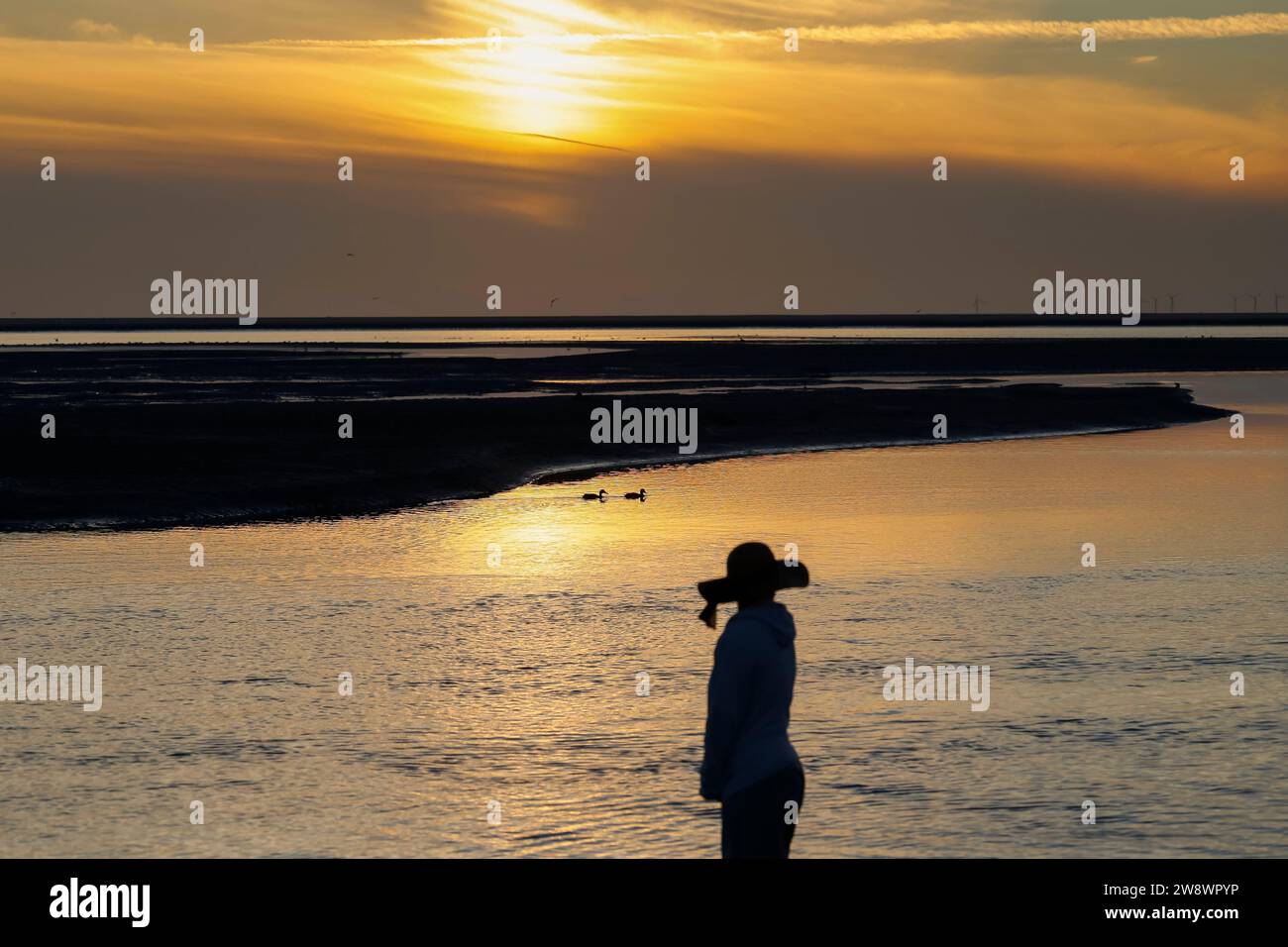 Silhouette de femme debout sur la plage au coucher du soleil sur l'île de Borkum regardant deux canards nager sur l'eau, Basse-Saxe, Allemagne Banque D'Images