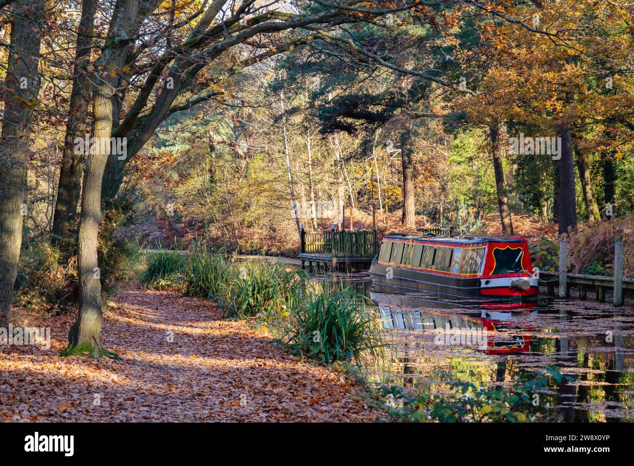 Canal bateau amarré sur le canal de Basingstoke en automne. Mytchette, Surrey, Angleterre, Royaume-Uni, Grande-Bretagne Banque D'Images