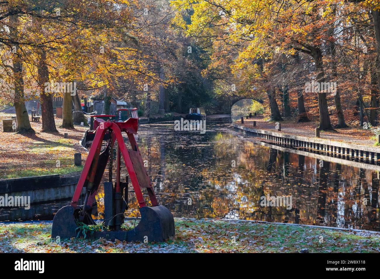 Vue le long du canal de Basingstoke depuis le centre d'accueil en automne. Mytchette, Surrey, Angleterre, Royaume-Uni, Grande-Bretagne Banque D'Images