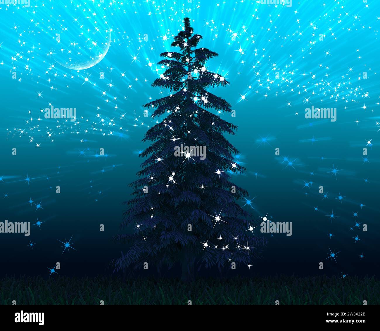fond avec ciel de pin et étoiles brillantes Banque D'Images