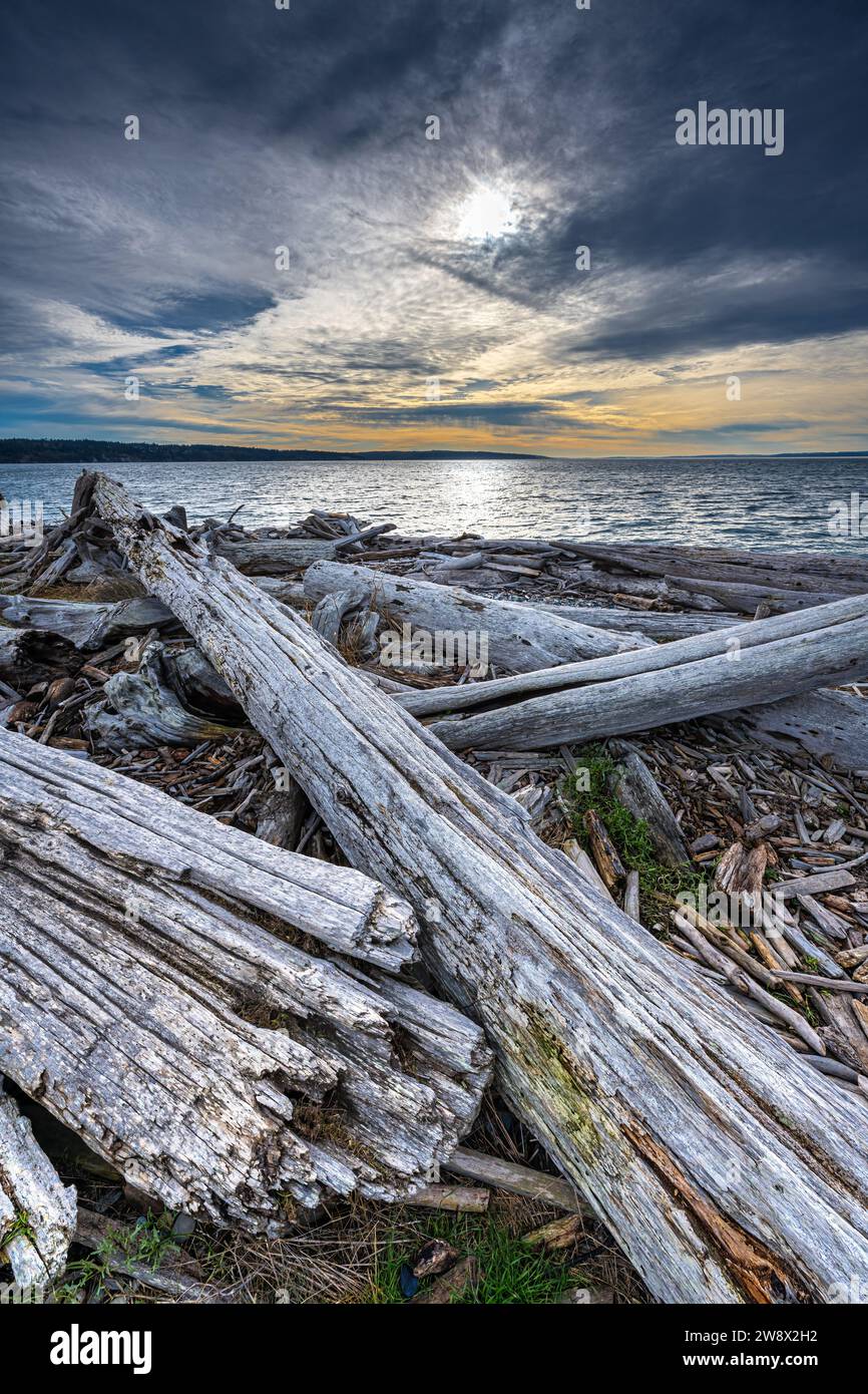 Driftwood Park sur Whidbey Island, WA Banque D'Images