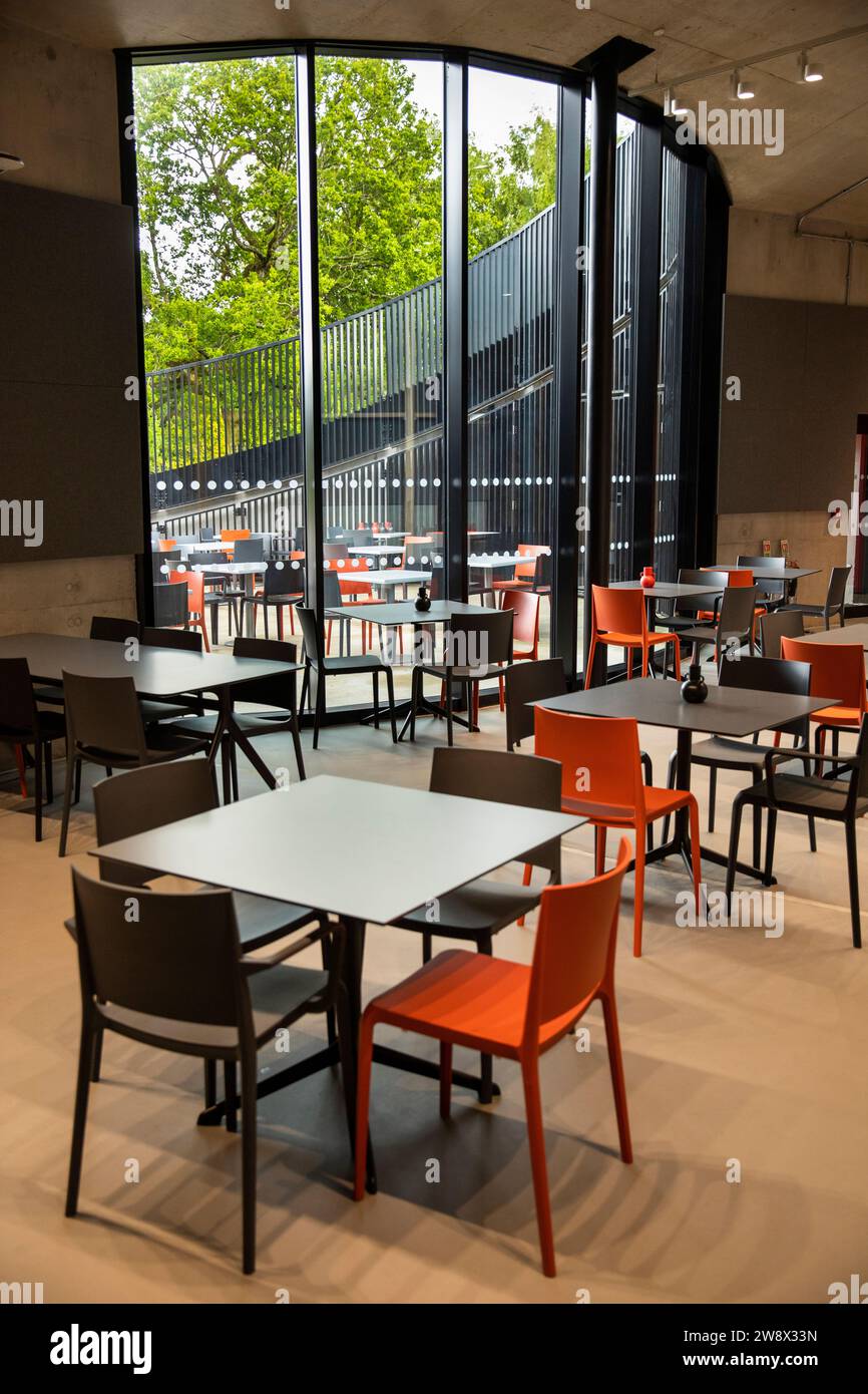 Royaume-Uni, Angleterre, Cheshire, Goostrey, Jodrell Bank, First Light Visitor Centre, intérieur du café Banque D'Images